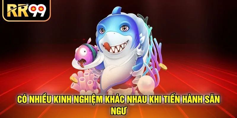 Có nhiều kinh nghiệm khác nhau khi tiến hành săn ngư